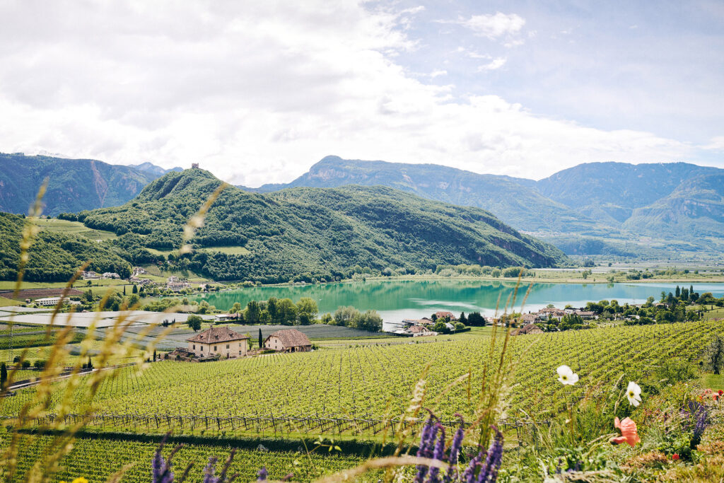 Kaltern und Umgebung
