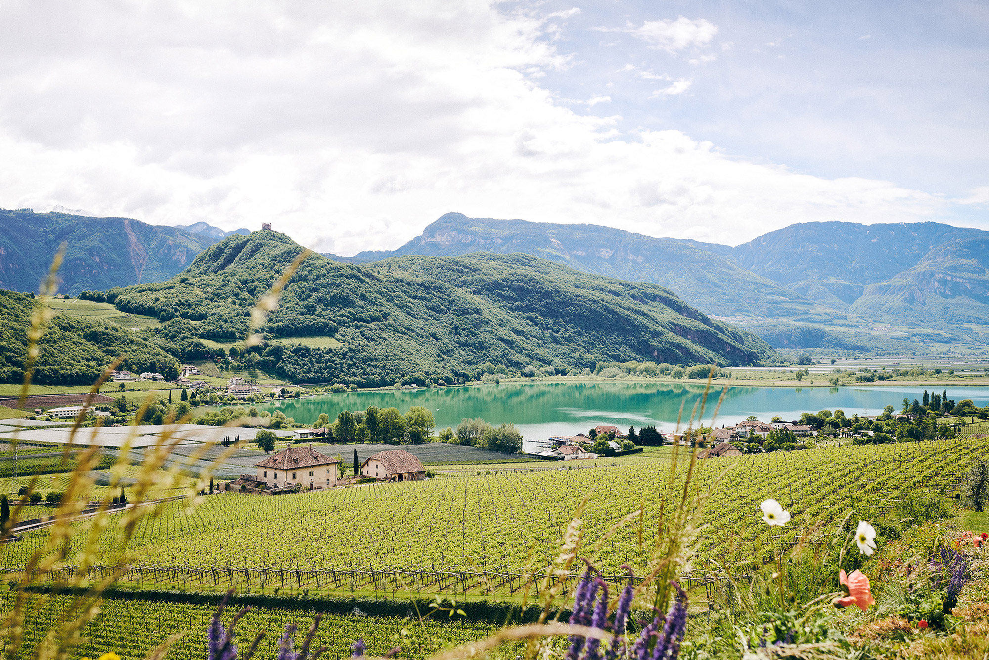Kaltern und Umgebung